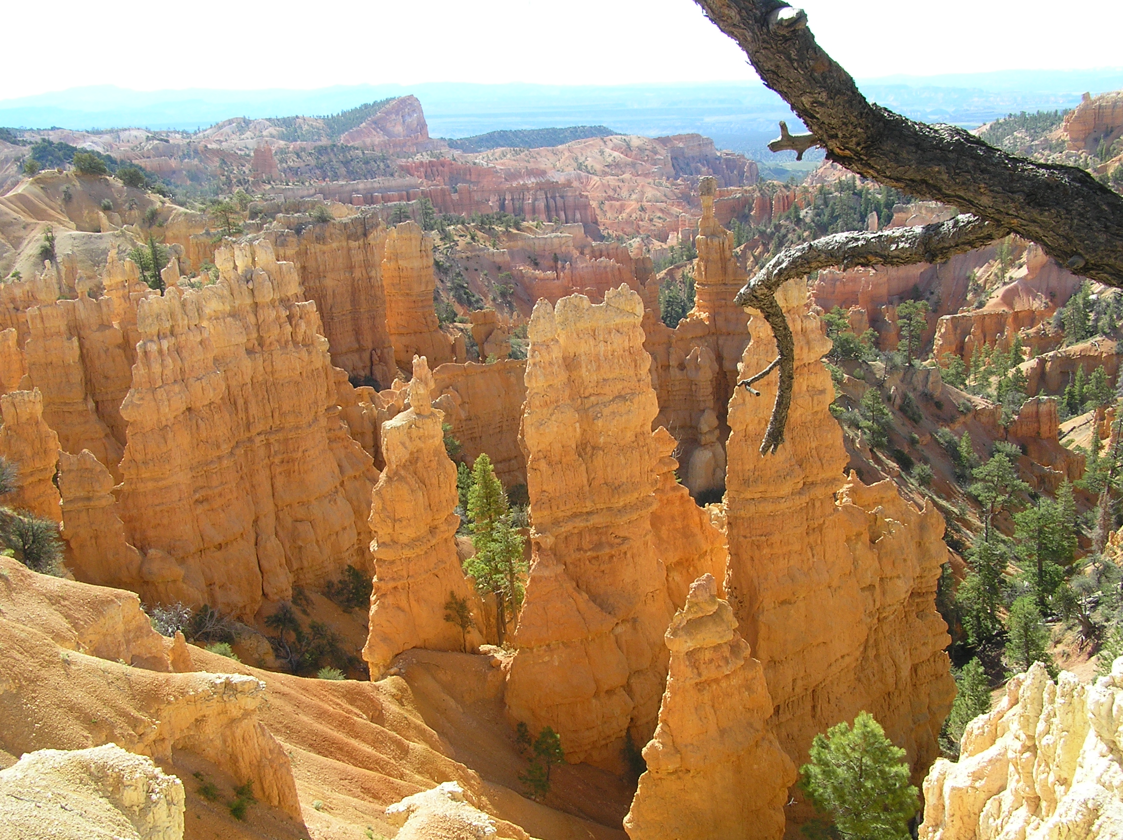 Bryce Canyon,Lowell Lyon